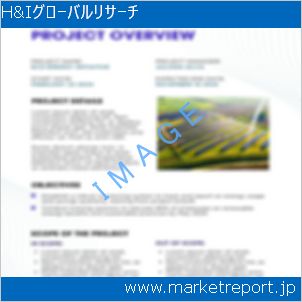 市場と産業調査レポートのイメージ